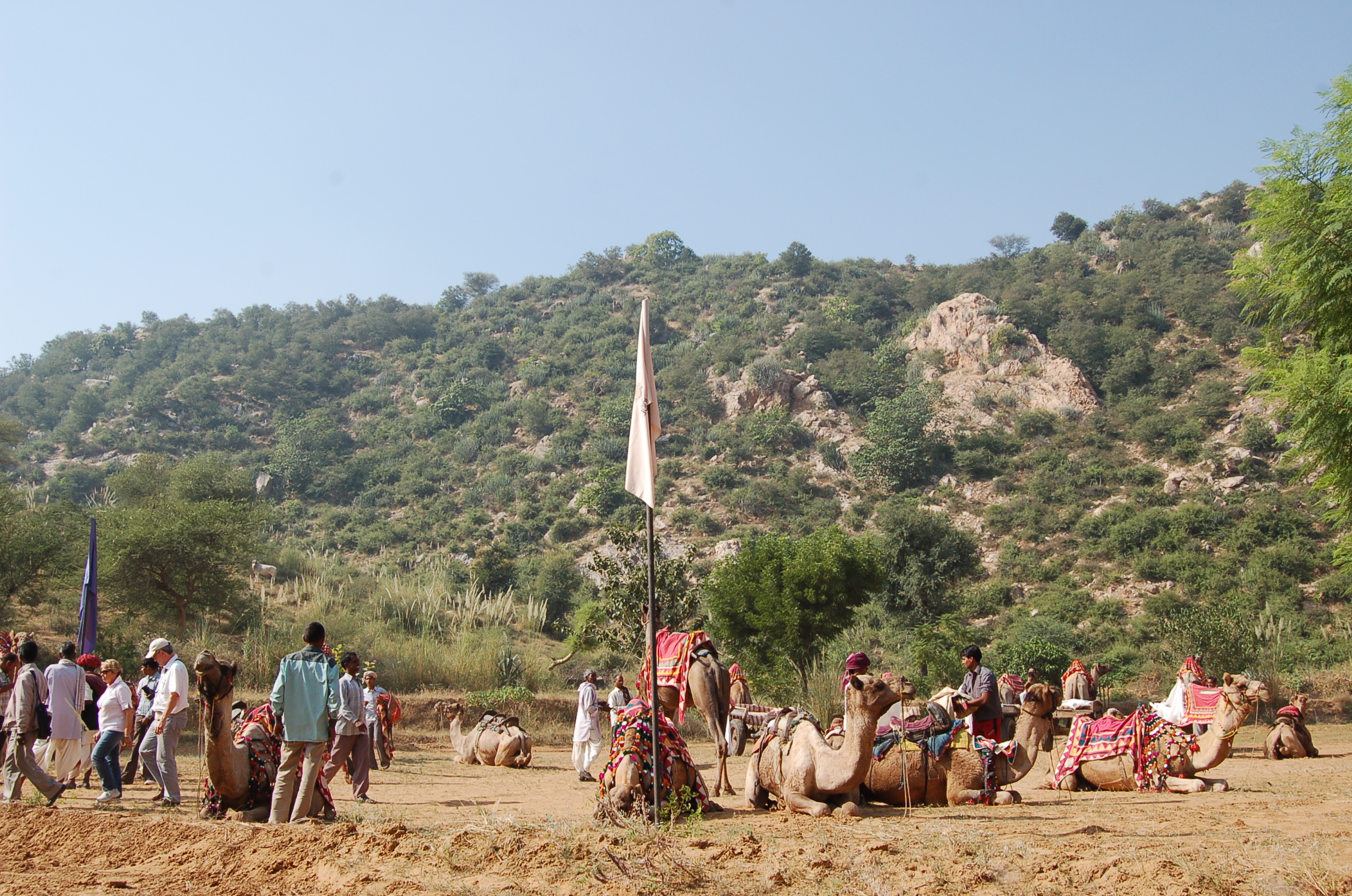 Image from Farm Lunch - Samode